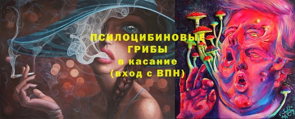 эйфоретик Баксан