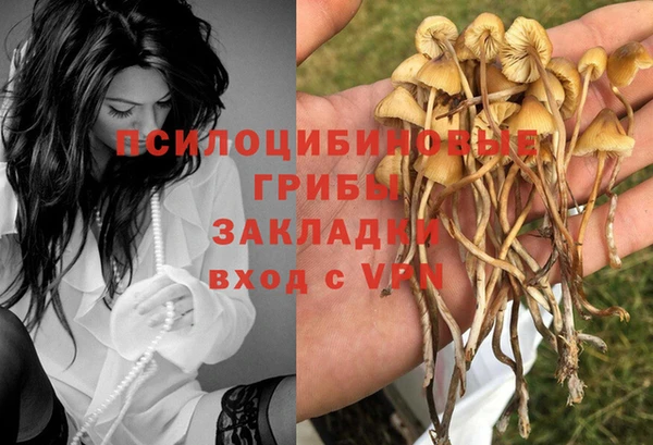 эйфоретик Баксан